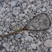 Fishpond Nomad Middle Fork Net 2.0 Brown Trout 2.0 Image 04