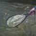 Fishpond Nomad Native Net 2.0 Brown Trout 2.0 Image 02