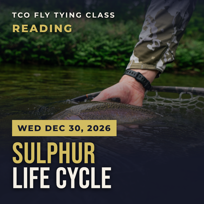 TCO Fly Tying Class Reading – Sulphur Life Cycle, Wed Dec 30, 2026