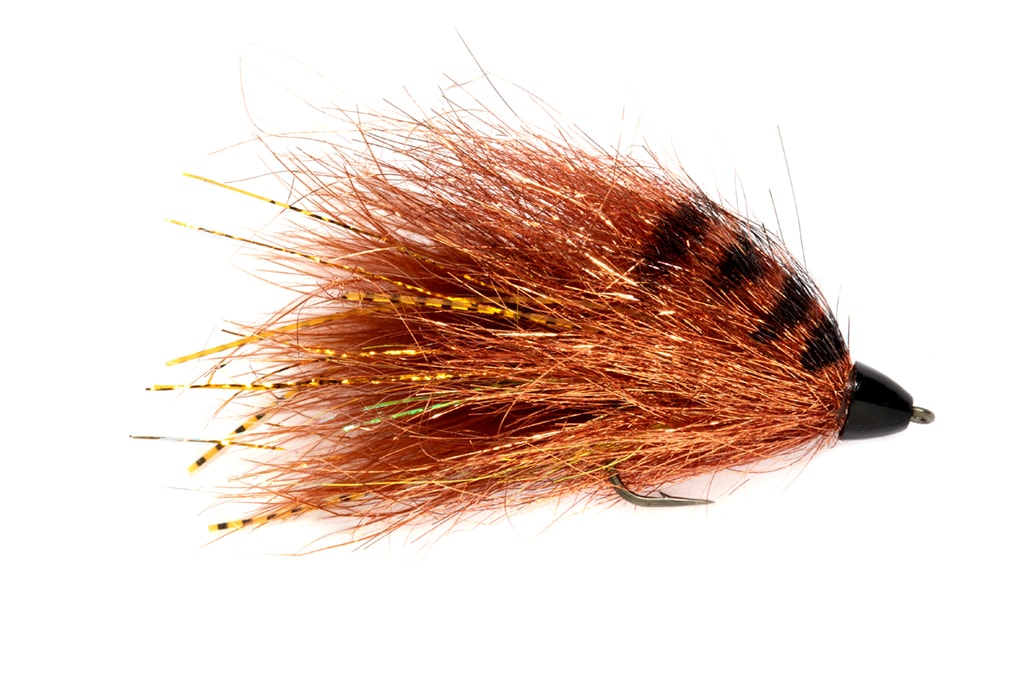 Daddy's Money Copper