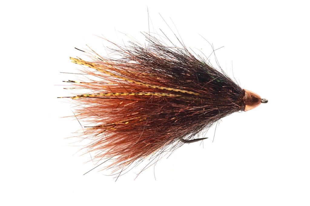 Daddy's Money Brown