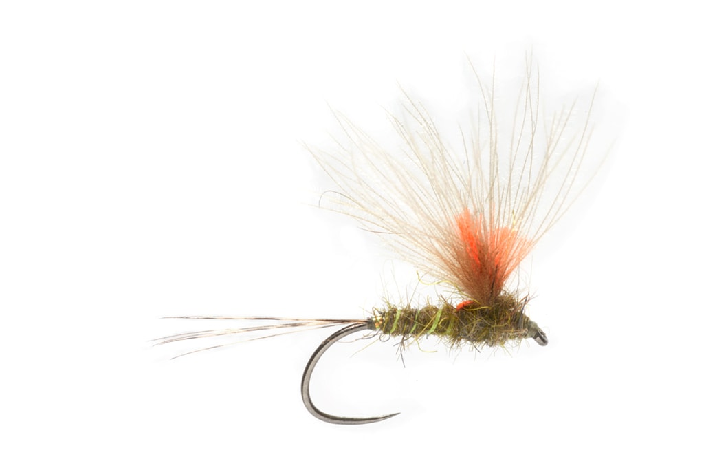 Olsen's Performance Enhancing Dun Western Green Drake Barbless