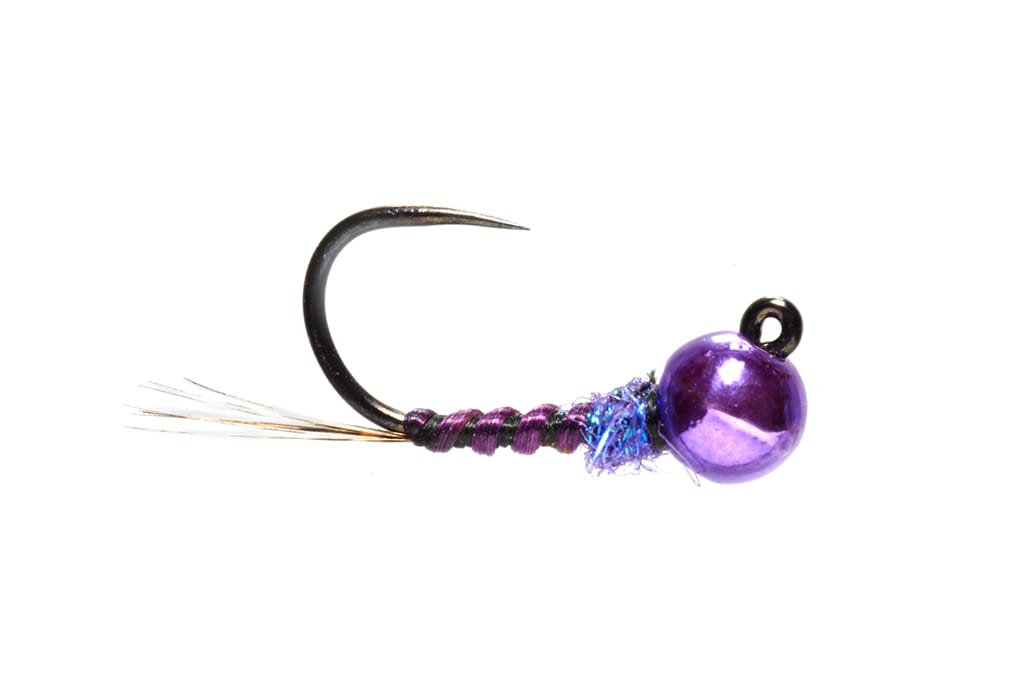 Jorgensen's Zola Bug Purple