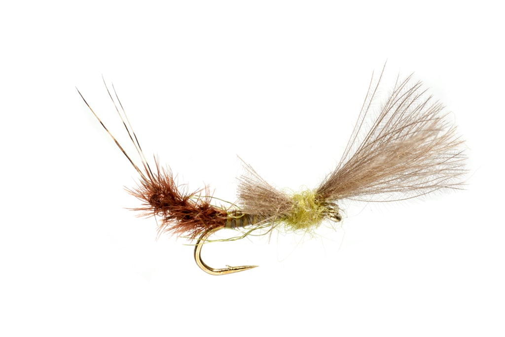 Burkus' Baetis Cripple — TCO Fly Shop