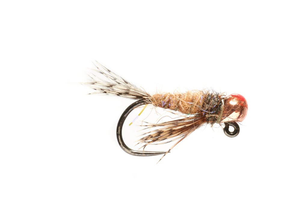 Callibungus Nymph 2.5 Yellow Dot