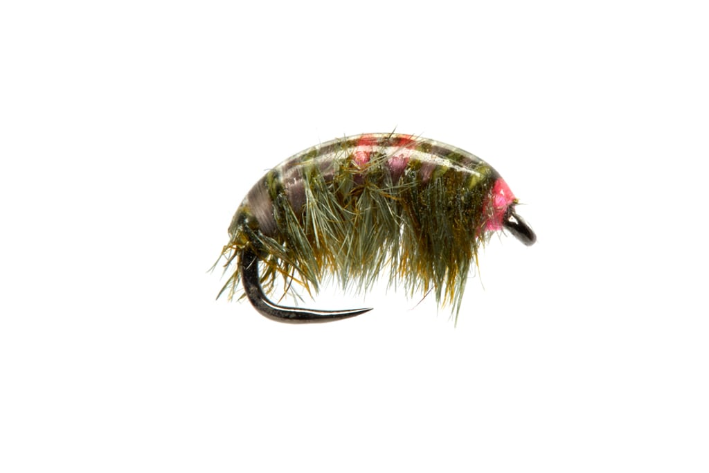 Limestoner Shrimp Gray Barbless