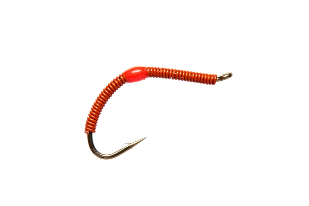 Wire Worm Rust