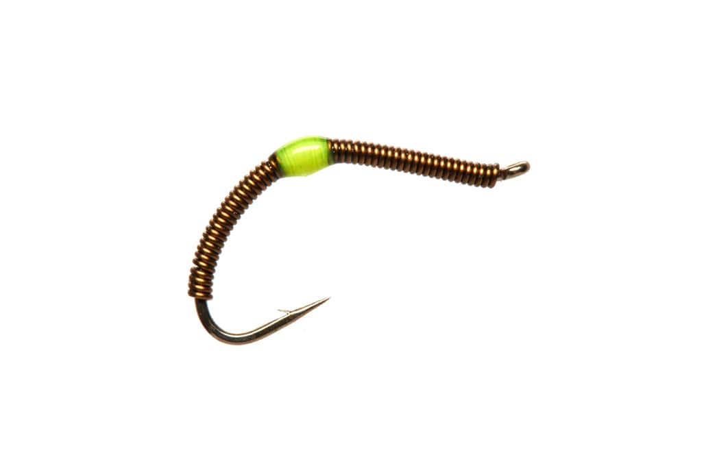 Wire Worm Olive
