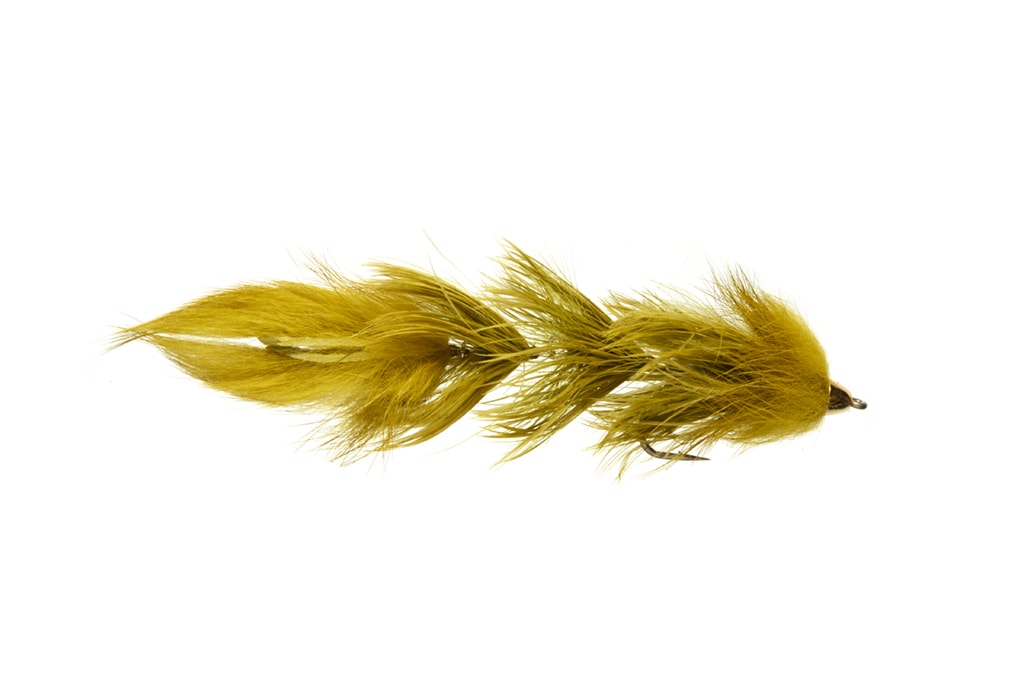 Brig's Rippin' Rooster Olive