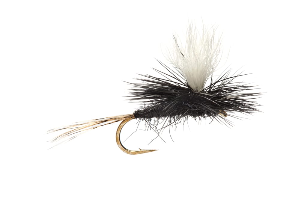 Parachute Ultra Hare Black