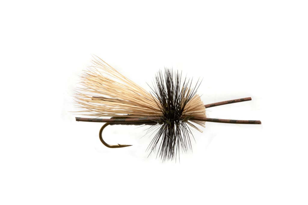 Rosenau's Rocktober Caddis Black