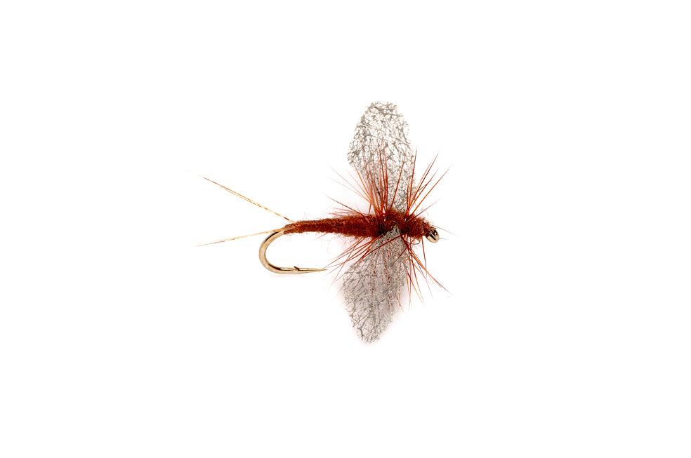 Perfect Wing Spinner Rust