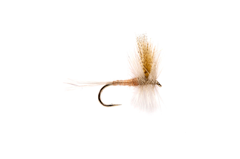 Penns Creek Stream Report — TCO Fly Shop