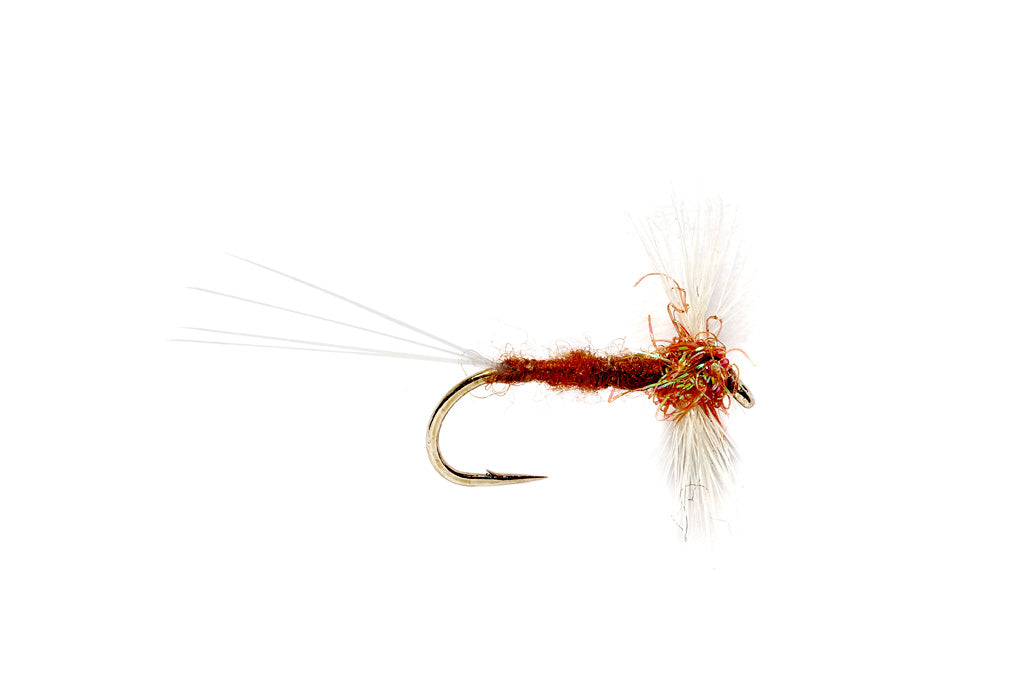 Penns Creek Stream Report — TCO Fly Shop