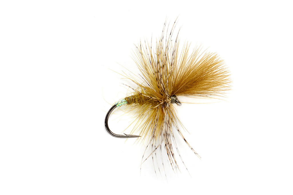 McPhail Grunter Olive Barbless