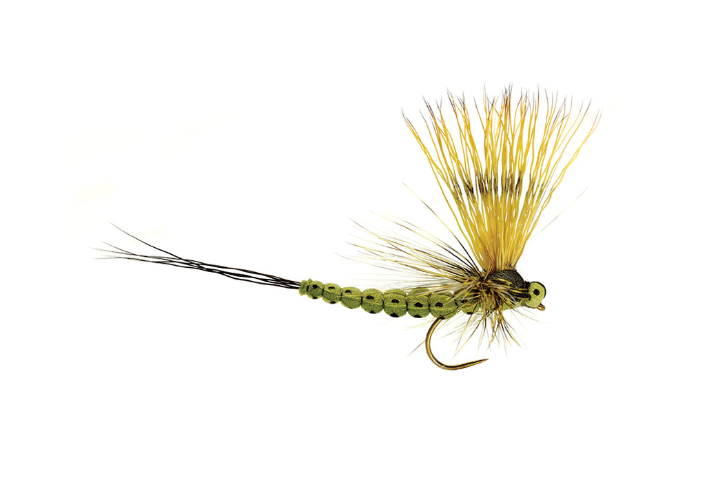 Mohican Mayfly Olive Barbless