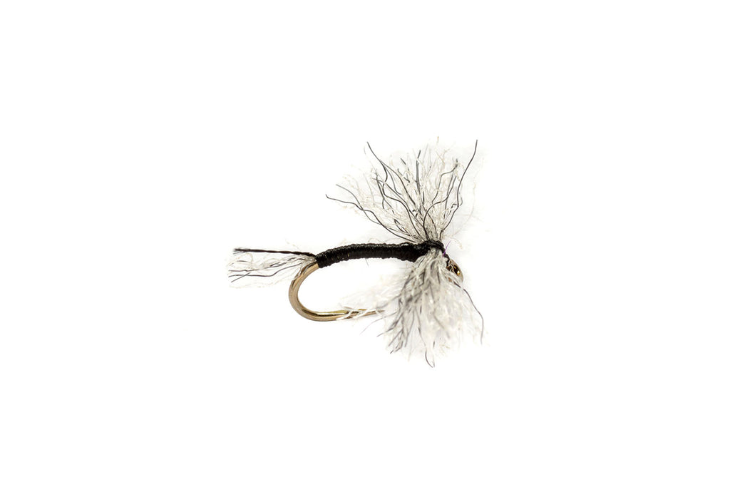 Penns Creek Stream Report — TCO Fly Shop