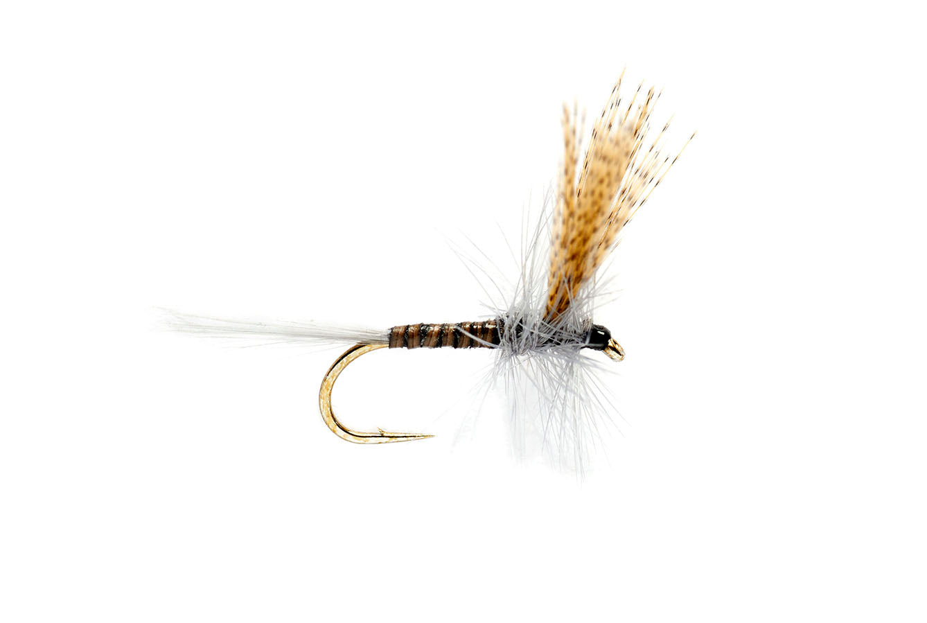 Quill Gordon Dry Fly Patterns