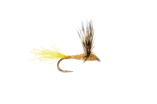 Sparkle Dun Sulphur Sz. 16