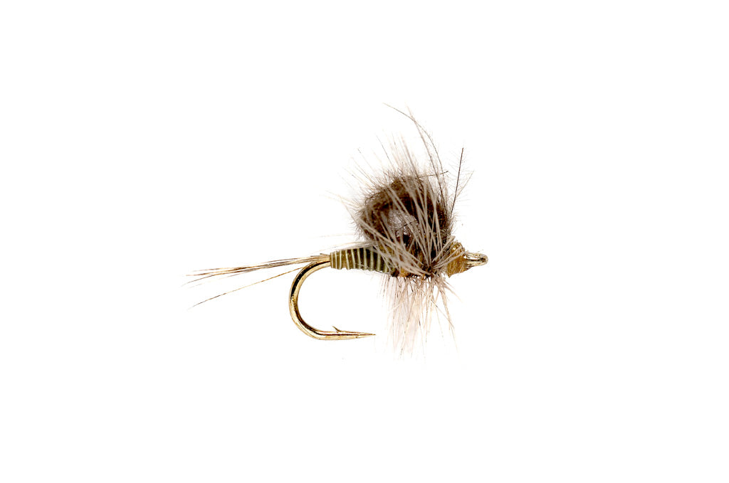 CdC Loopwing Quill Emerger BWO