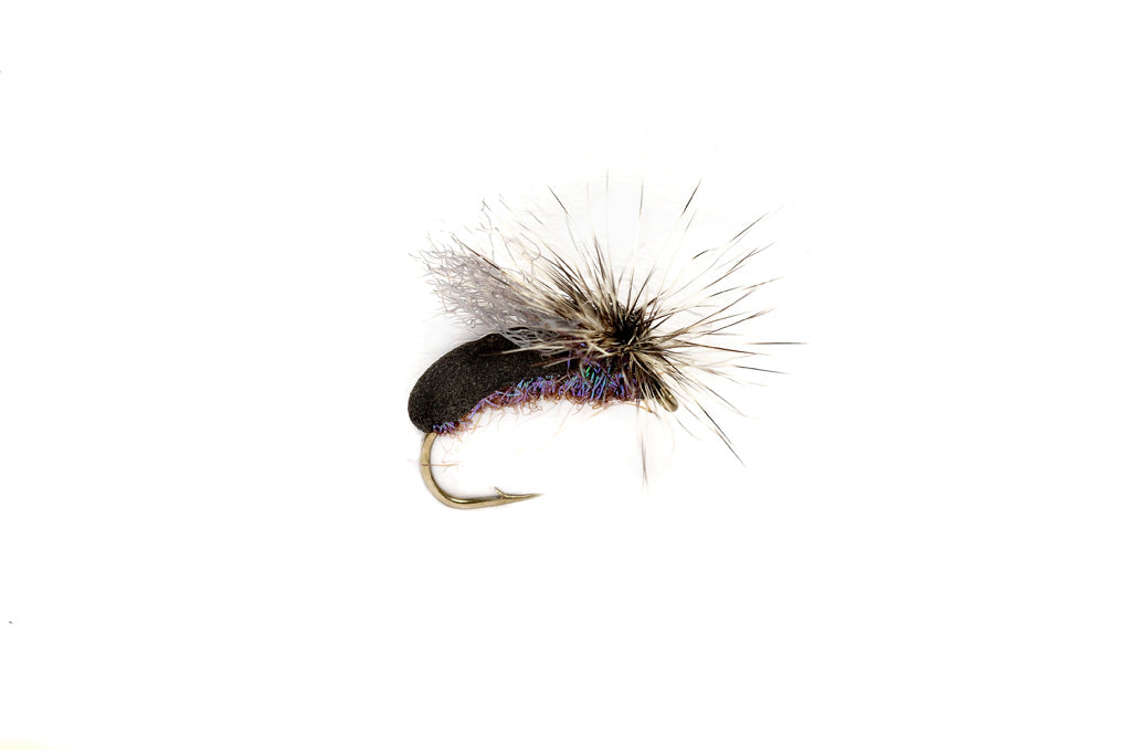Splitsville Beetle Black & Peacock