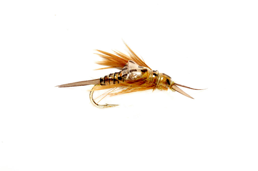 OE Stonefly Nymph Golden