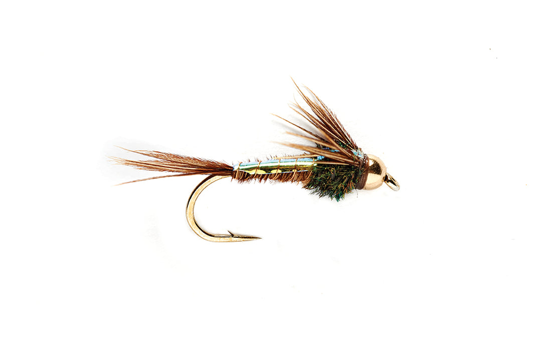 Flashback American Pheasant Tail Beadhead — TCO Fly Shop
