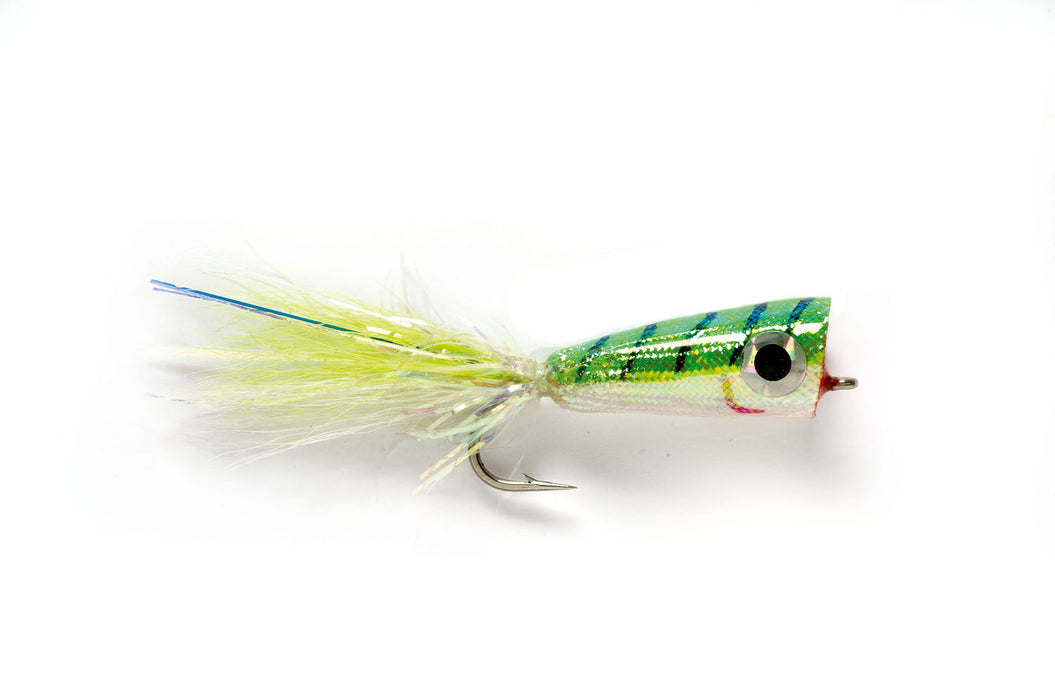 fish lure popper pattern Mylar Popper Chartreuse & White — TCO Fly Shop