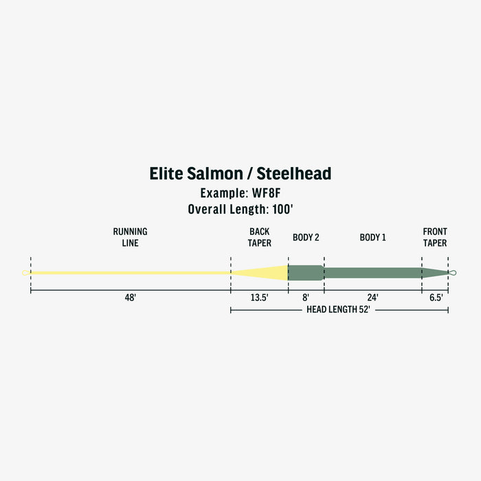 Sage Elite SalmonSteelhead Fly line