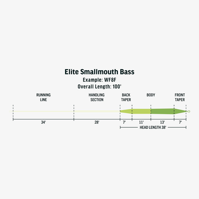 RIO Elite Smallmouth Bass Fly line