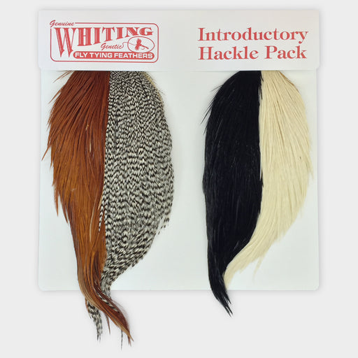 Whiting Introductory Hackle Pack - 4 Assorted 1/2 Capes or Saddles - Style 1/2 Capes