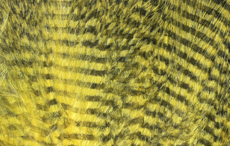 Fine Black Barred Marabou Feathers