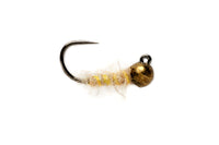 Walt's Worm (12-16)
