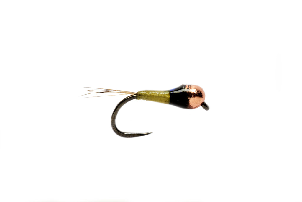 Penns Creek Stream Report — TCO Fly Shop